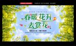 油菜花