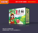 柚子包装 青柚礼盒