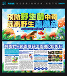 预防野生菌毒蘑菇中毒宣传栏