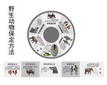 野生动物保定方法