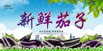 新鲜茄子