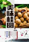 美味桂圆