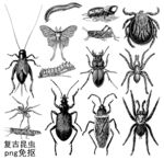 复古昆虫