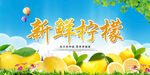 新鲜柠檬