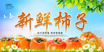 新鲜柿子