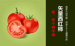 西红柿 普罗旺斯 柿子 番茄