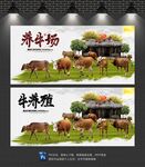 养牛场
