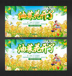 油菜花