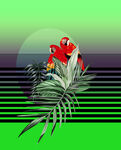 定位花