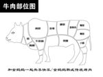 2022牛肉部位图分切图分层