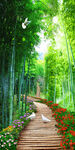 竹林小溪木栈道