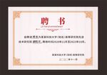 证书底纹模板聘书设计