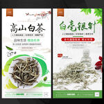 白毫银针