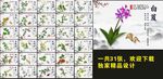 手绘中草药