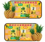 区分菠萝与凤梨