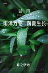 谷雨