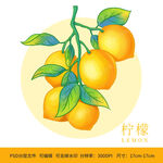 手绘水果柠檬包装插画