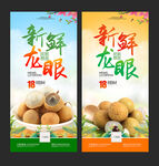 龙眼海报
