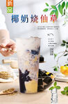 椰奶烧仙草  