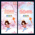 赏樱花