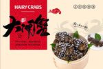 澄阳湖大闸蟹