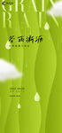 谷雨