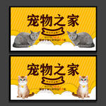 宠物