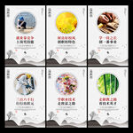 职业教育宣传展板