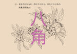 八角线描