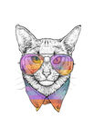 个性艺术动物猫装饰画