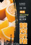 脐橙