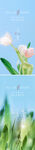 立夏海报