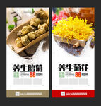贡菊