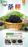 桑椹 