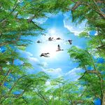 树叶天空天花