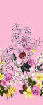 定位花