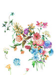 手绘花卉