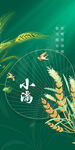 小满 节气