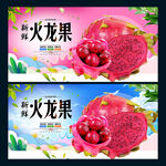 火龙果