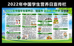 2022年中国学生营养日宣传栏