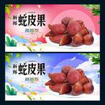 蛇皮果