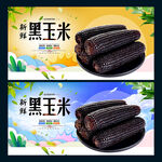 黑玉米