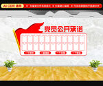 党员公开承诺