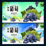 葡萄
