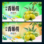 青橄榄