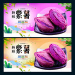 紫薯