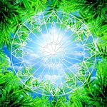 清新绿色竹林仰视天空
