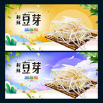 豆芽