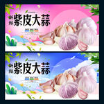 紫皮大蒜