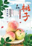 桃子